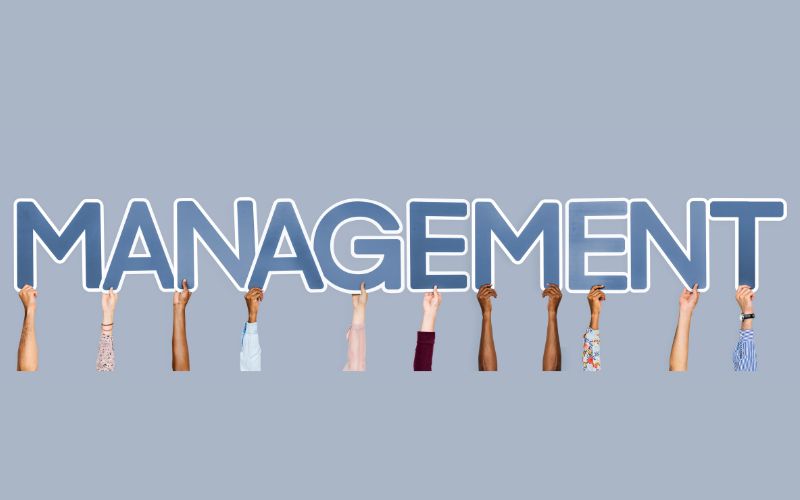 business management jobs